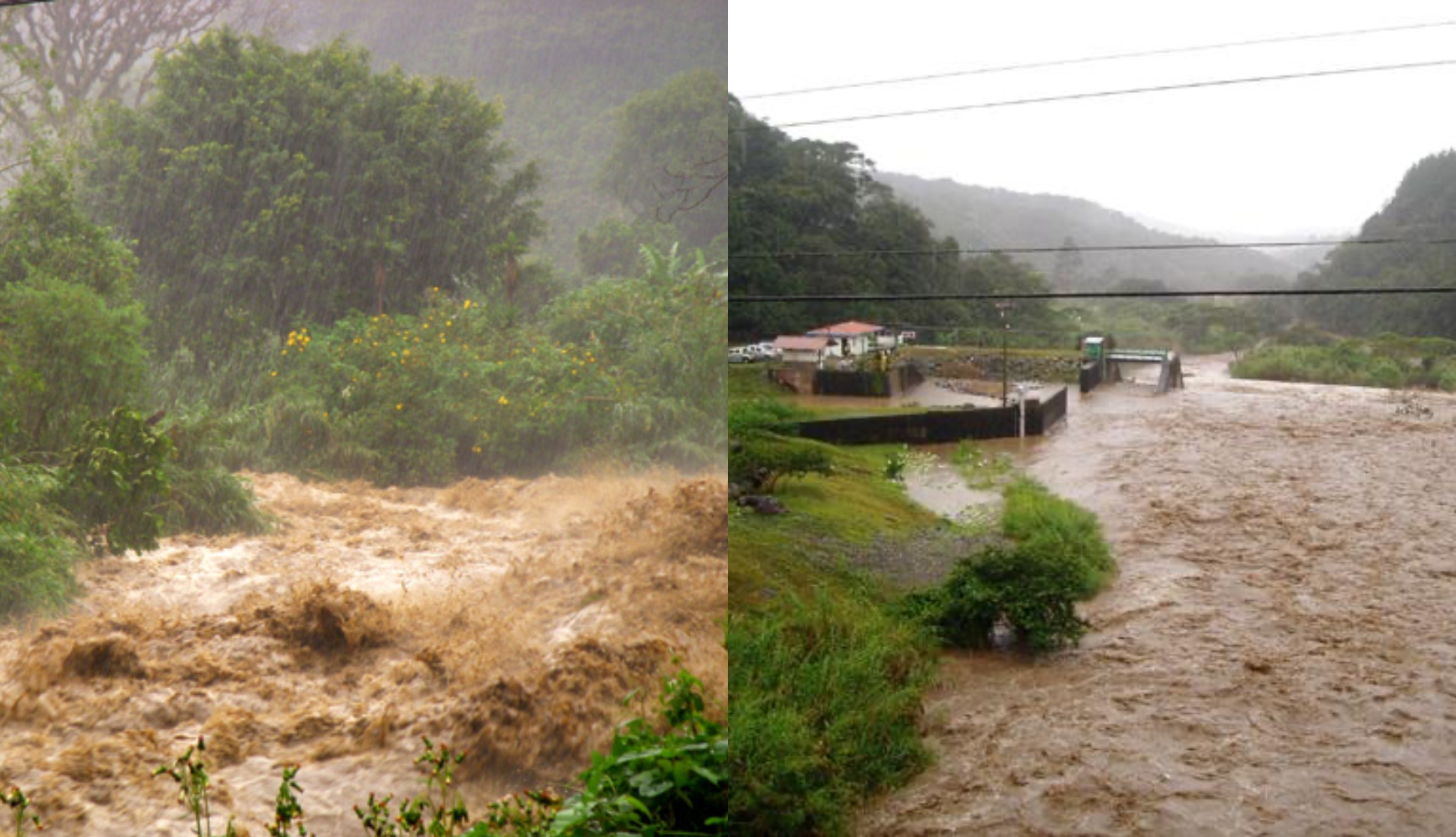 De kwetsbare kant van koffie - Niet elk koffieverhaal is prachtig.